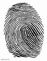 Fingerprint Clipart Science Forensic Mystery Clip Transparent Finger Print Cliparts Fingerprints Vector Forensics Background Panda Dandelion Library Fingers Gif Thumbprint sketch template