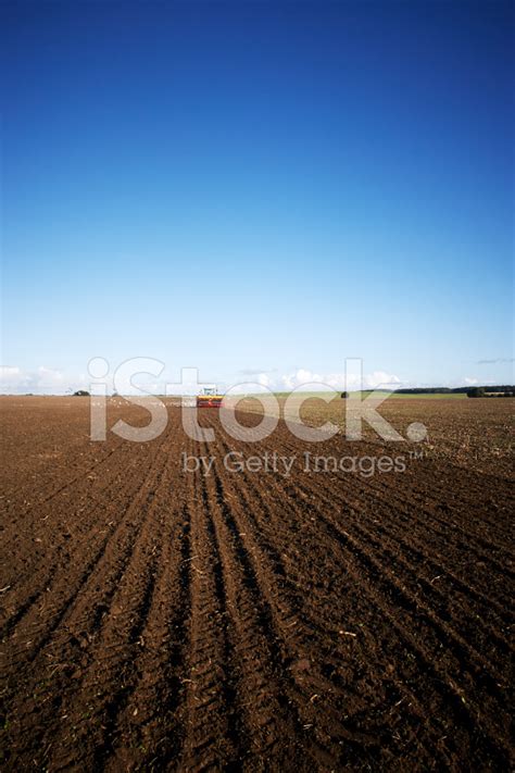 sowing stock photo royalty  freeimages