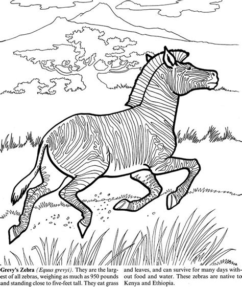 dover publications coloring pages dover coloring pages