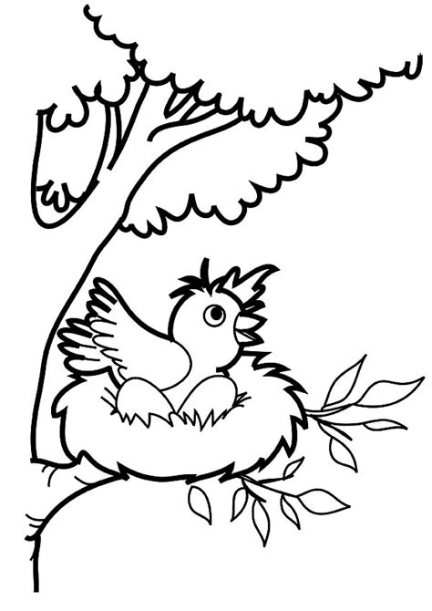 bird   jump  bird nest coloring pages  place  color