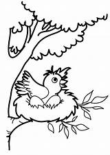 Nest Coloring Bird Pages Robin Drawing Jump Want Color Birds Clipart Printable Cartoon Baby Kids Nests Getdrawings Place Library Pdf sketch template