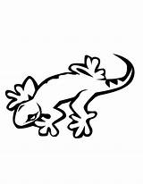 Lizard Coloring Pages Kids Printable Cartoon Lizards Gecko Clipart Cliparts Color Print Library sketch template