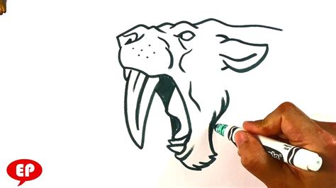 draw sabretooth tiger smilodon   easy