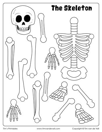 skeleton cut  paste tims printables