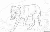Wolf Coloring Pages Printable Wild Running Realistic Print Dog Color Drawing Forest Animal Animals Sheets Fox Vlk Size Getdrawings Online sketch template