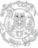 Zentangle Coloring Pages Printable Owl Getcolorings sketch template