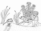 Sand Plants Coral Dunes Animals Pink Coloring Robin Pages Great sketch template