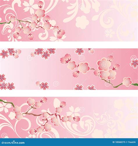 cherry blossom banner set stock vector illustration  abstract