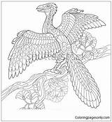 Archeopteryx Pages Coloring Color Coloringpagesonly sketch template