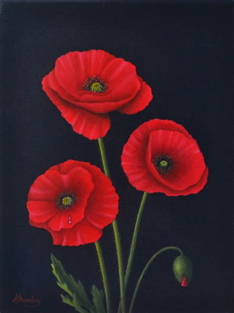 red poppies margo munday fine art classical  contemporary