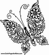 Coloring Visit Butterfly sketch template
