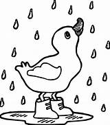 Coloring Ducks Rain Getdrawings Clipartmag sketch template