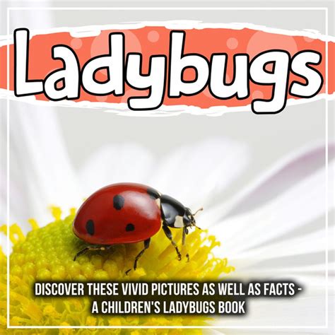 ladybugs discover  vivid pictures    facts  childrens