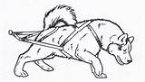 Dog Sled Husky Outline Iditarod Sledding Malamute sketch template