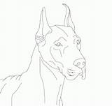 Dane Great Coloring Pages Dog Lineart Dogs Danes Drawings Printable Template Color Deviantart Comments Colouring Getdrawings Print Getcolorings Sketch sketch template
