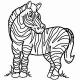 Zebra Colorear Cebra Dibujos Mamiferos Cebras Zebras Mamíferos Colorindo sketch template