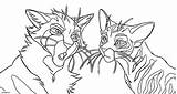 Cats Warriors Coloring Pages Wonder Printable sketch template