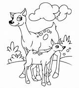 Colouring Herbivore Momjunction Tots sketch template