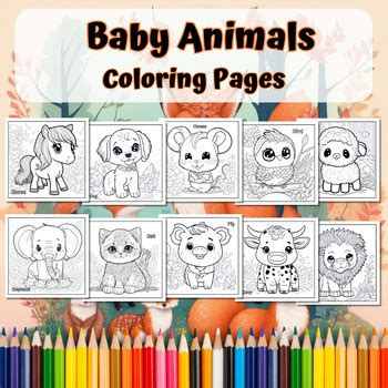 baby animals coloring pages   daisy demi tpt