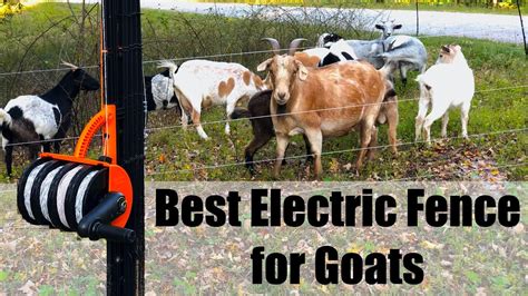 portable electric fence  goats gallagher smart fence youtube