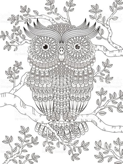 adult coloring page  gorgeous owl   tree
