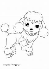 Coloring Baby Puppy Pages Print Color Printable Getcolorings sketch template