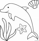 Dolphin Shells Delfin sketch template
