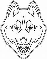 Husky Coloring Pages Choose Board Adult sketch template