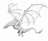Draw Realistic Mythical Improveyourdrawings Coole sketch template