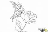 Butterfly Flower Draw Drawing Rose Drawings Print Step Coloring Drawingnow Easy Pencil Kids Pages Butter Ads Tutorial Choose Board sketch template