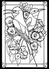 Coloring Pages Stained Glass Bird Dover Publications Book Birds Beautiful Adult Colorear Freebie Hummingbird Color Printable Para Vitray Painting Pairs sketch template