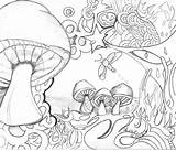 Coloring Pages Mushroom Printable Psychedelic Trippy Adult Mushrooms Drawing Adults Alice Wonderland Toadstool Colouring Print Books Sheets Kodak Drawings Getdrawings sketch template
