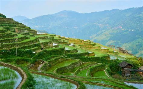 8 Most Breathtaking Rice Terraces In Asia Exotic Voyages