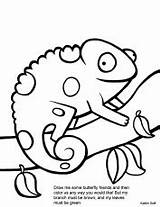 Chameleon Cute Chameleons Drawings Aprendizaje Hojas Bordados Carle Animales Graciosos Riscos Comentário Nenhum sketch template