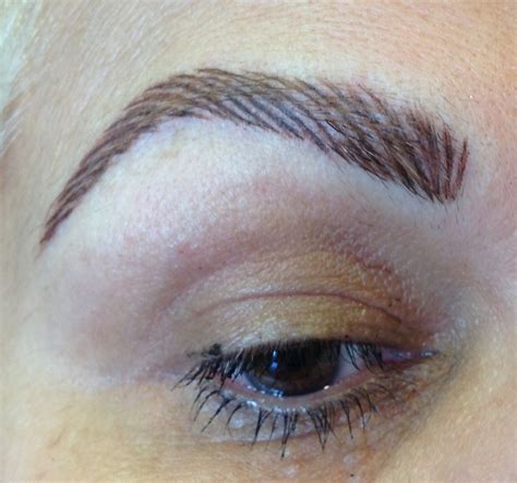 feathering eyebrow services norabellas  whittier ca