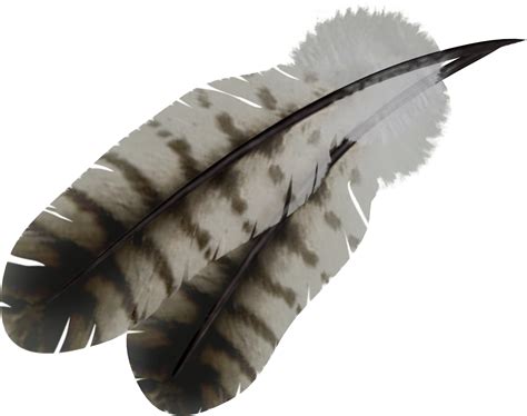 transparent clipart native american feathers   cliparts