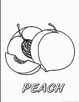 Peaches Apricot sketch template