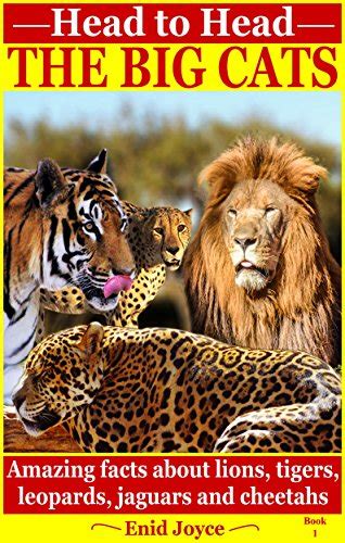 Lion Tiger Jaguar Leopard Cheetah Liam Medina