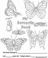 Butterfly Book Cover Books Coloring Enchantedlearning Enchanted Learning Choose Board sketch template