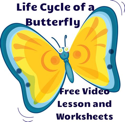 life cycle   butterfly  video lesson  worksheets