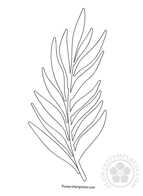 palm branch template palm sunday flowers templates