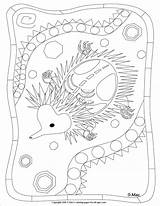 Echidna Coloring Pages Ray Aboriginal Mac Australian Xray Dot Template Colouring Indigenous Painting Printable Symbols Snake Getdrawings Kids Getcolorings 39s sketch template