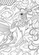 Coloring Pages Animals Hard Animal Adults Popular sketch template