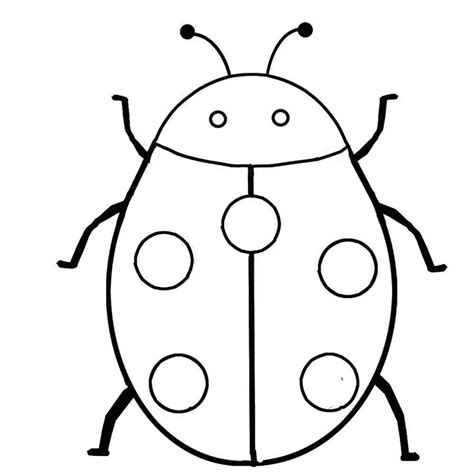bugs  insects coloring pages cats  pinterest insects