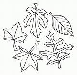Oak Leaf Printable Stencil Coloring Popular sketch template