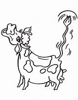 Cow Coloring Mooing Clipart Pages Cartoon Moo Tail Clarabelle Cliparts Cartoons Printable Cute Template Popular Clipground Comments 2021 sketch template