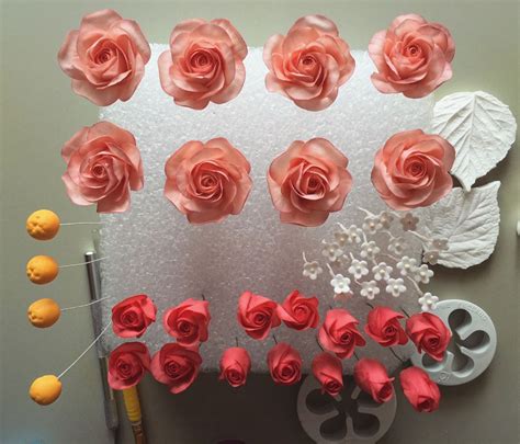 cake decorating paste guide hobbies  crafts