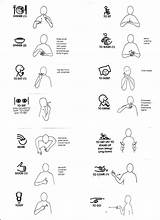Makaton Sign Language Signs Printables Nursery Baby Bsl Asl Hamptons Phrases Choose Words School British Basics Chart Sit American Thdn sketch template