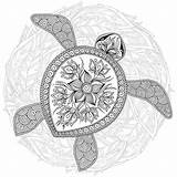 Schildpad Tartaruga Decorativa Grafica Modello Decoratieve Grafische Patroon Boek Animal Turtles Totem Henna Mehndi Intricate Ilustração sketch template