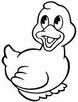 Ducks Coloring Pages Print Animal Coloringtop sketch template